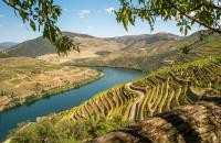 Cruzeiro no Douro