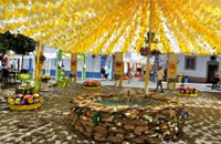 Festa da Flor