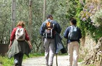 Grande Rota das Montanhas Mágicas - 7ª etapa