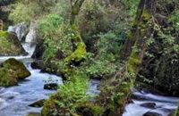 Caminhada em Oliveira de Azemeis